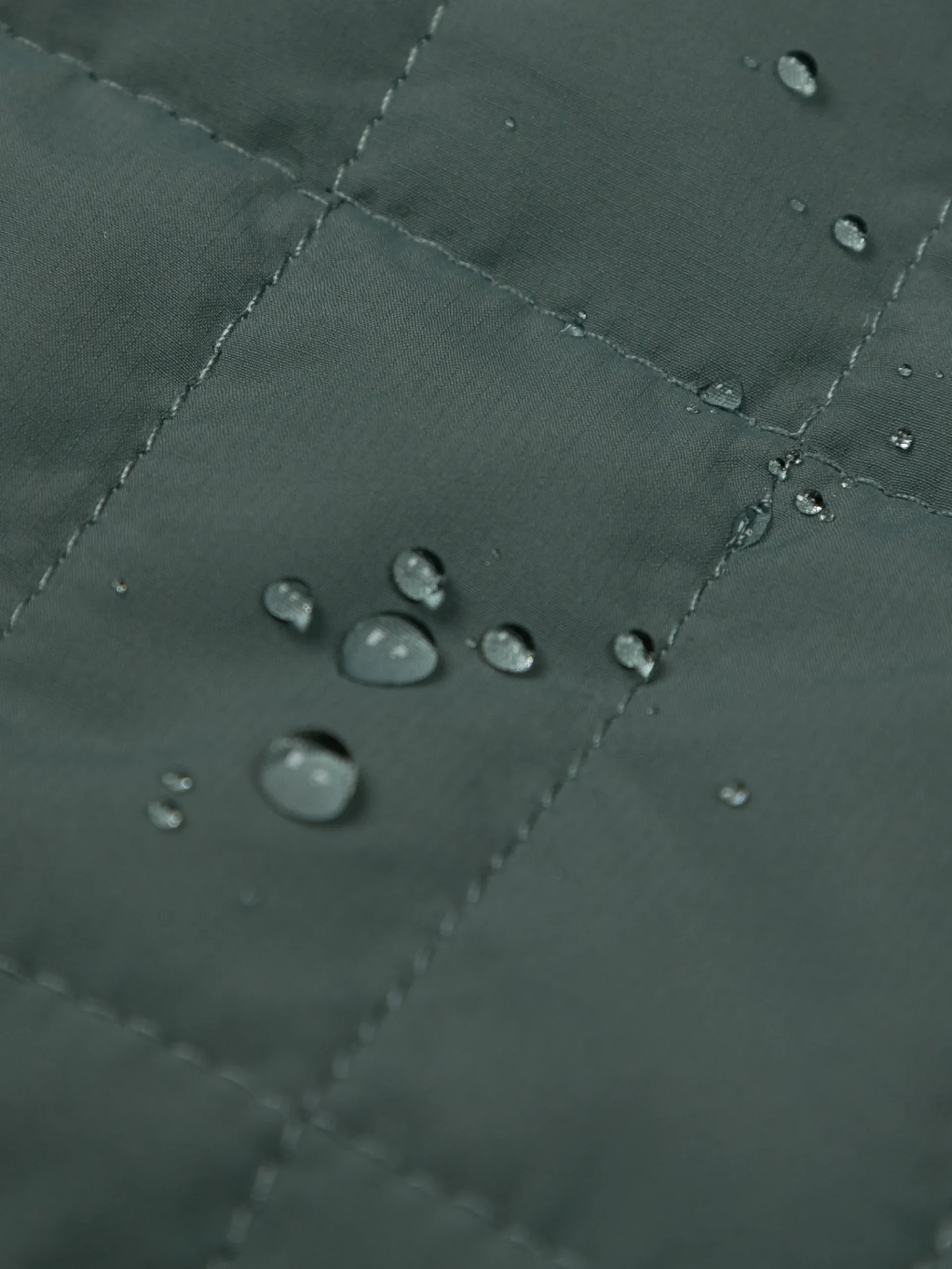 Women's Firecrest Hooded Jacket