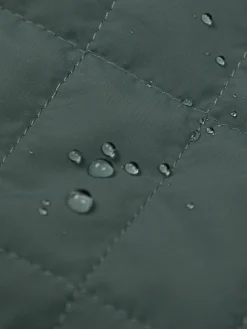 Women's Firecrest Jacket