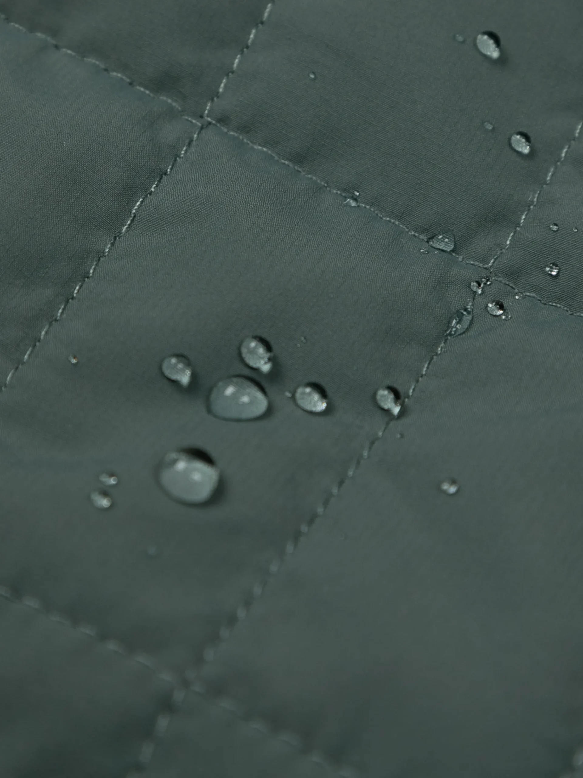 Women's Firecrest Jacket
